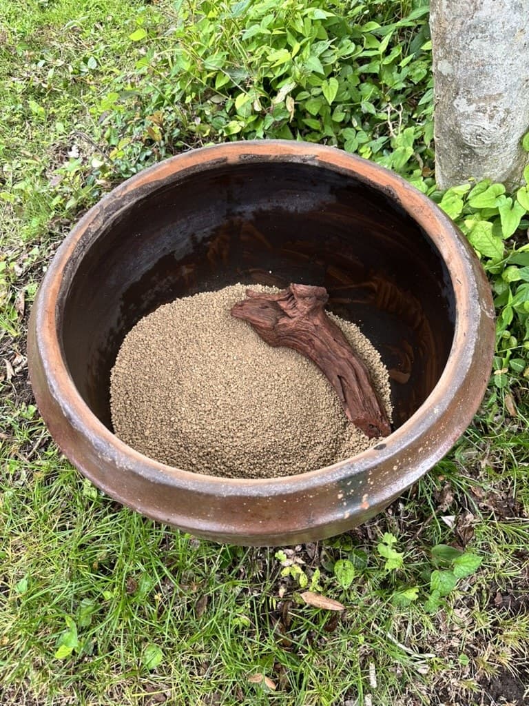 ビオトープ作り その2|赤玉土は中粒、水は地下水。1週間置いてメダカ15匹を投入 写真2